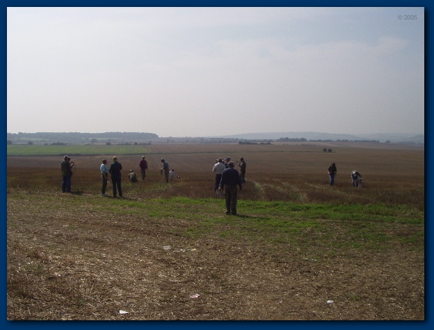 600x449 pixels (107K)